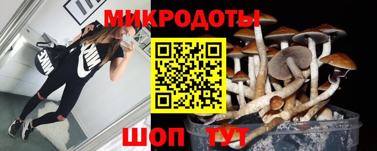 Галлюциногенные грибы Magic Shrooms  Вход с VPN  Галлюциногенные грибы Cubensis  Малгобек 
